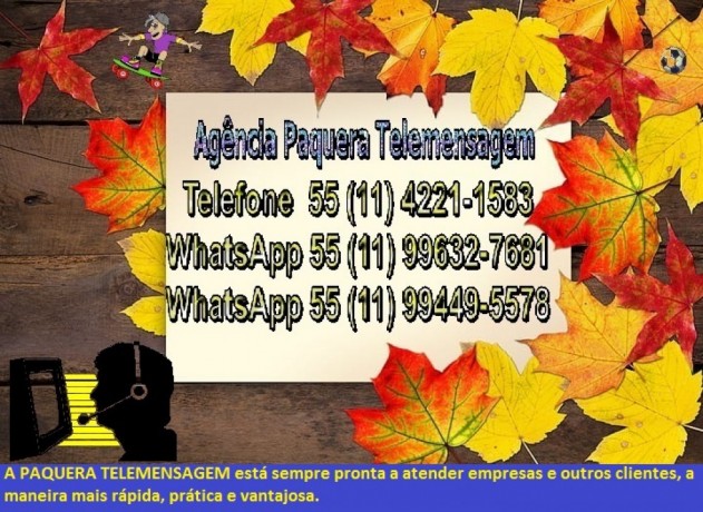paquera-telemensagem-big-1