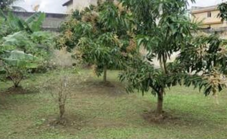 vendo-casa-no-centro-da-pedra-de-guatiba-big-0