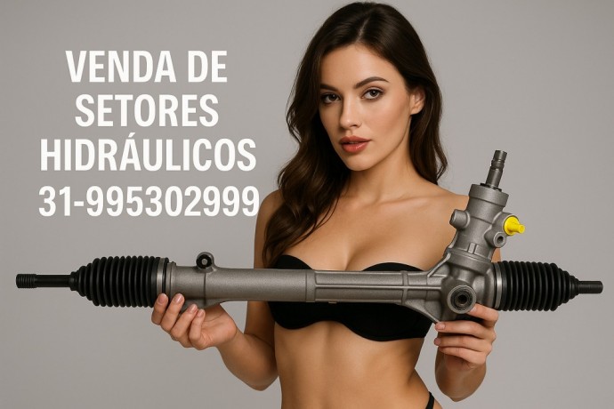 setor-de-direcao-hidraulica-big-5