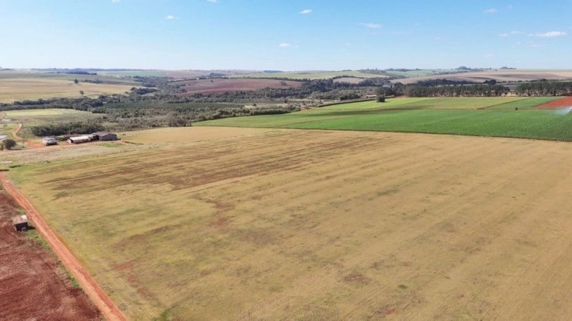 excelente-fazenda-a-venda-emitapetininga-sp-1199905-1585-big-0