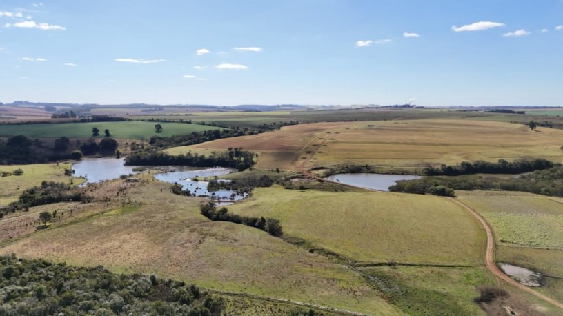 excelente-fazenda-a-venda-emitapetininga-sp-1199905-1585-big-1