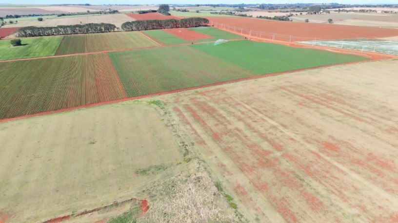 excelente-fazenda-a-venda-emitapetininga-sp-1199905-1585-big-4