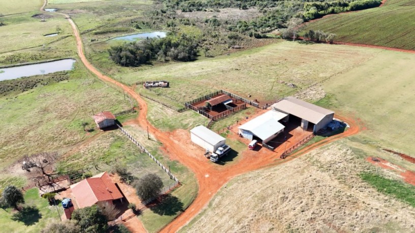 excelente-fazenda-a-venda-emitapetininga-sp-1199905-1585-big-5