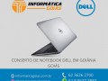 assistencia-tecnica-dell-goiania-goias-small-3