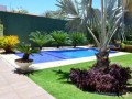 servico-de-jardinagem-e-conservacao-de-piscina-small-0