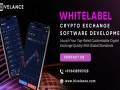 make-quick-crypto-market-entry-with-feature-rich-whitelabel-crypto-exchange-software-small-0