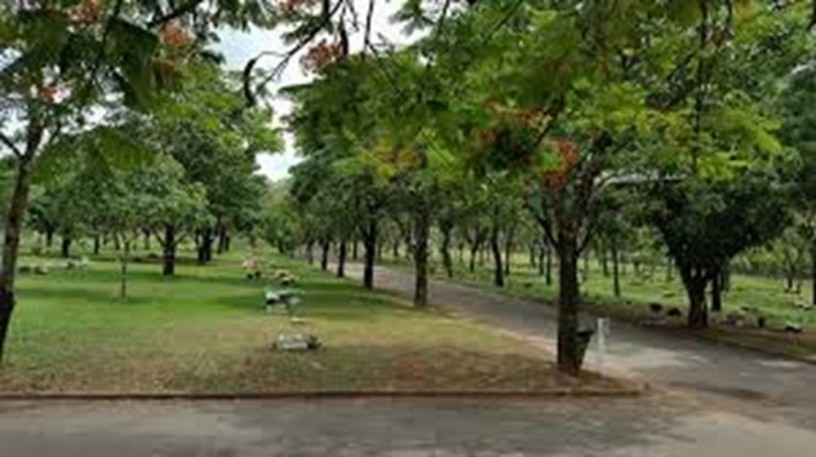 vendo-jazigo-cemiterio-parque-das-flores-campinas-big-0
