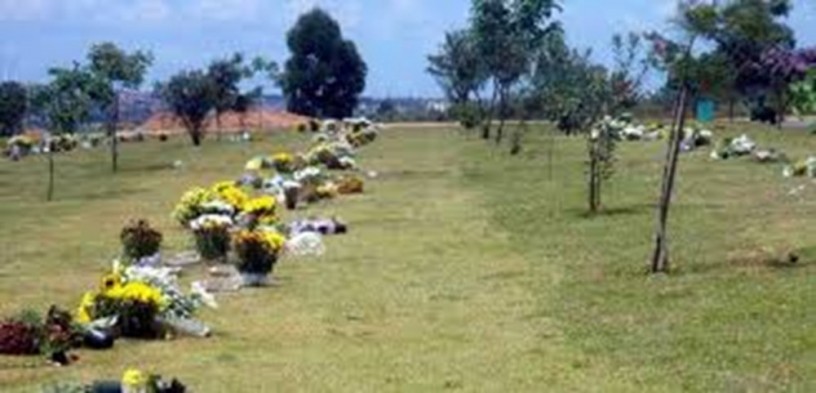 vendo-jazigo-cemiterio-parque-das-flores-campinas-big-5