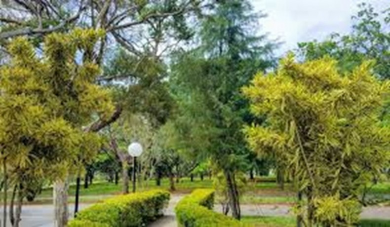 vendo-jazigo-cemiterio-parque-das-flores-campinas-big-2