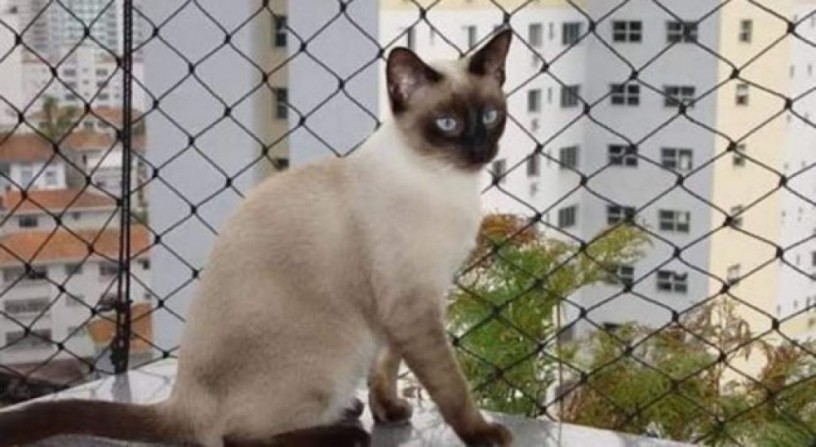 favorita-redes-de-protecao-em-louzane-paulista-big-0